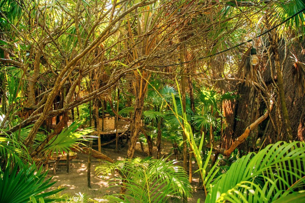 Ikal Tulum Hotel Exterior photo